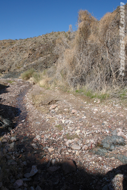 DSC09350_jeep_jk_wrangler