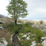 DSC05603