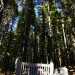 DSC03259