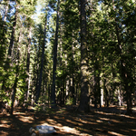 DSC03271