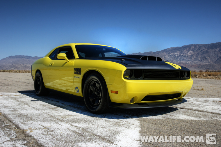 DSC05544_5_6_tonemapped-13 copy