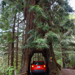 DSC09861_2_3_tonemapped-re copy