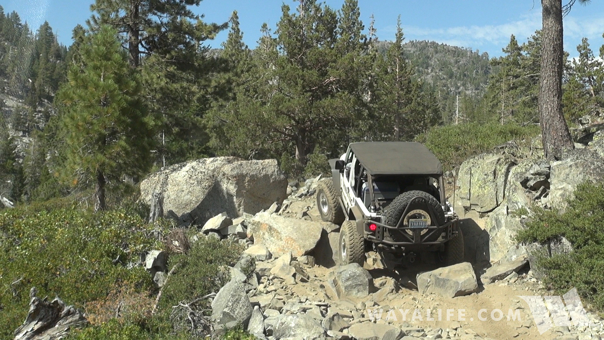 00024.MTS.00_00_09_18.Still001