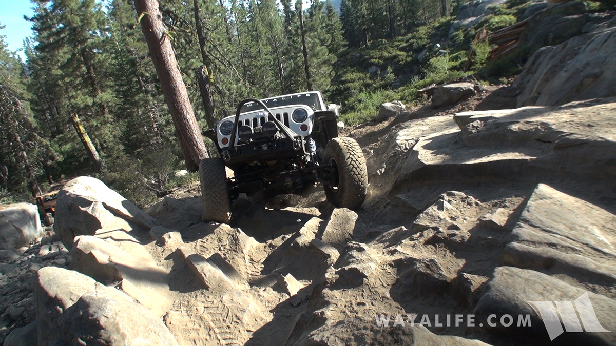 00125.MTS.00_01_20_23.Still001