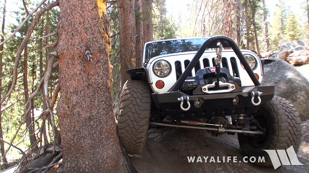 00045.MTS.00_01_21_15.Still003