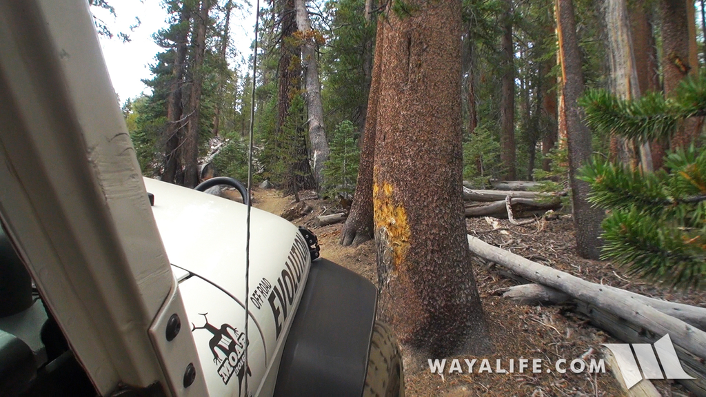 00074.MTS.00_00_15_24.Still002