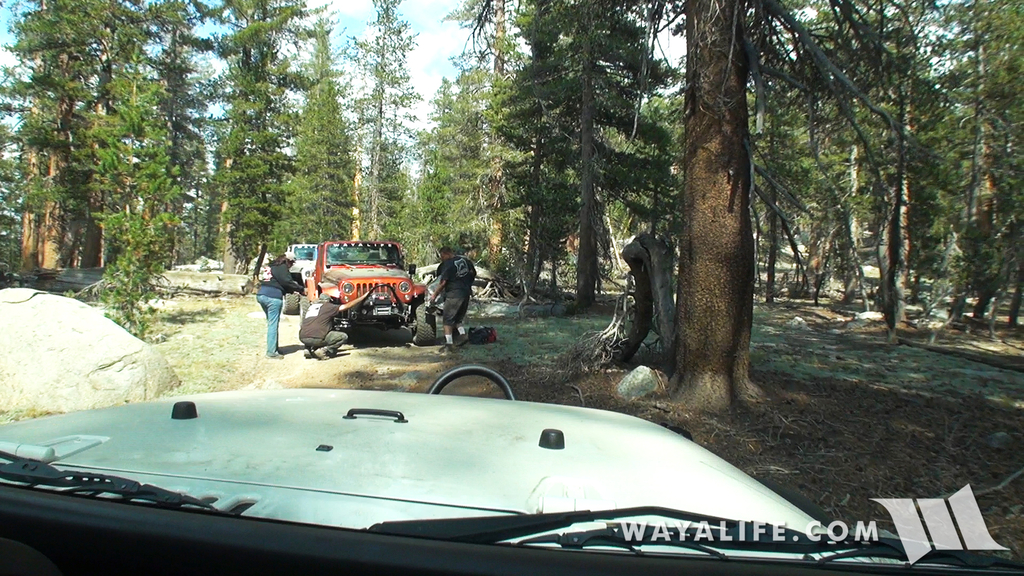 00273.MTS.00_01_23_52.Still001