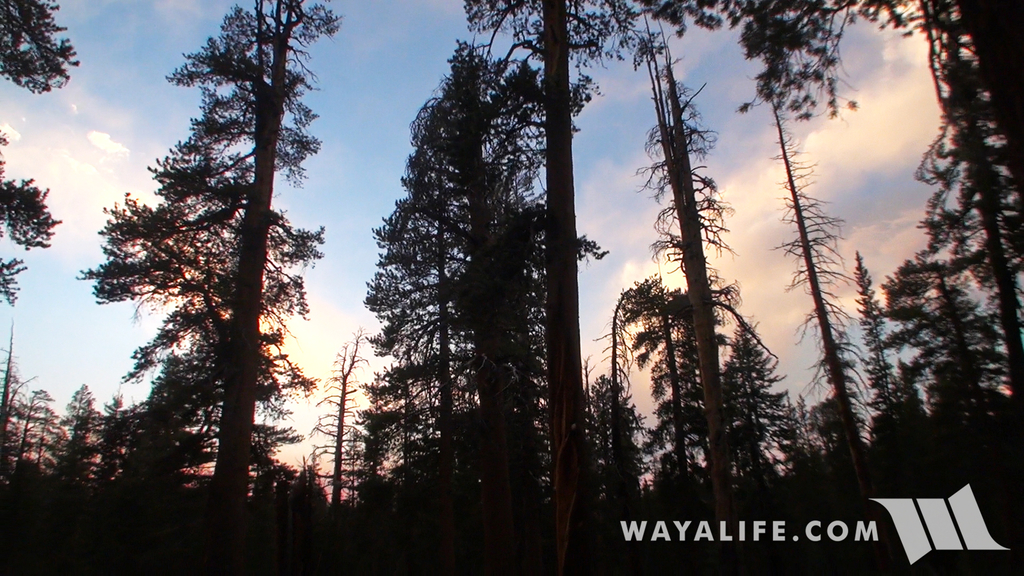 00331.MTS.00_00_53_55.Still002