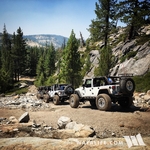 Trips & Trail Events